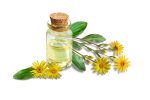 Arnika yağı 2a Arnika yağı 2a