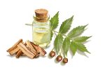 Palo santo yağı 2a