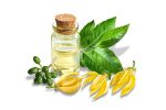 ylang ylang yağı 2a